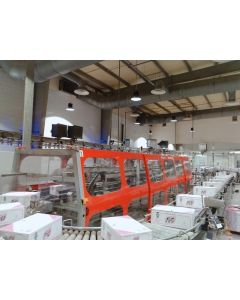 CARTON CONVEYOR OCME