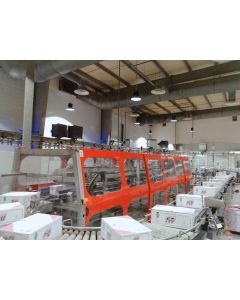 CARTON CONVEYOR OCME 