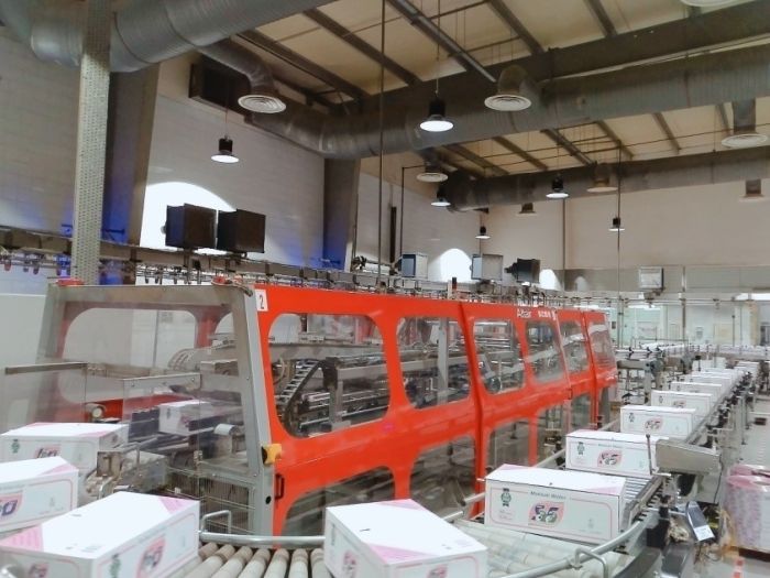 CARTON CONVEYOR OCME
